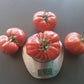 Venezianisches Ochsenherz DER TOMATENFLÜSTERER
