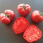 Venezianisches Ochsenherz DER TOMATENFLÜSTERER
