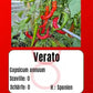 Verato DER TOMATENFLÜSTERER