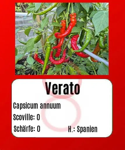 Verato DER TOMATENFLÜSTERER
