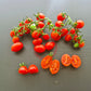 Vierländer Eiertomate DER TOMATENFLÜSTERER