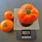 Wald4tler Orange DER TOMATENFLÜSTERER