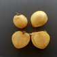 White Cherry Heart DER TOMATENFLÜSTERER