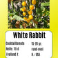 White Rabbit DER TOMATENFLÜSTERER