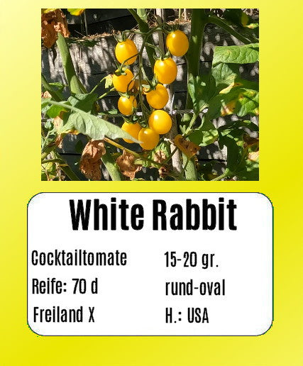White Rabbit DER TOMATENFLÜSTERER