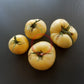 White Wax DER TOMATENFLÜSTERER