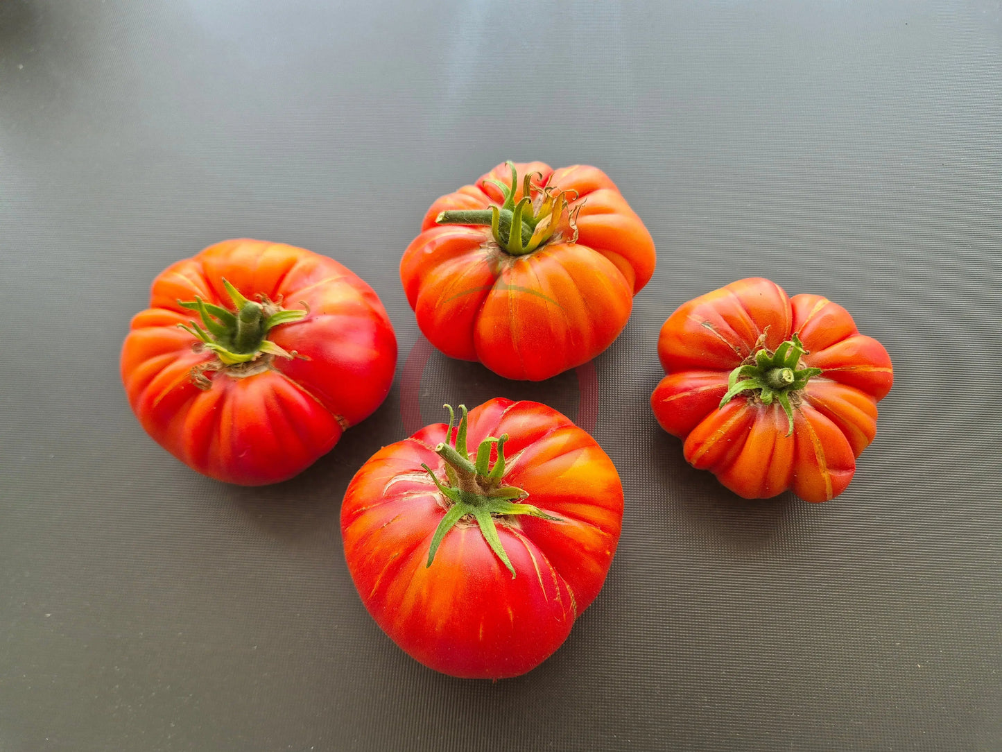 William Striped DER TOMATENFLÜSTERER