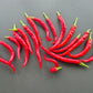 Witch Stick Pepper DER TOMATENFLÜSTERER