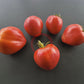 Wolford Wonder DER TOMATENFLÜSTERER