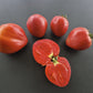 Wolford Wonder DER TOMATENFLÜSTERER