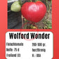 Wolford Wonder DER TOMATENFLÜSTERER