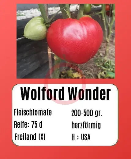 Wolford Wonder DER TOMATENFLÜSTERER