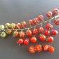 Wonyong Nr.5 DER TOMATENFLÜSTERER