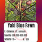Yaki Blue Fawn DER TOMATENFLÜSTERER