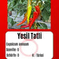 Yesil Tatli DER TOMATENFLÜSTERER