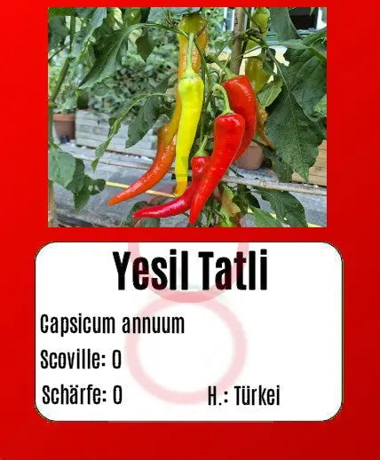Yesil Tatli DER TOMATENFLÜSTERER