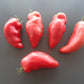 Zagadka Doliny Roz DER TOMATENFLÜSTERER