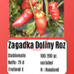 Zagadka Doliny Roz DER TOMATENFLÜSTERER