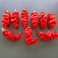 Zhou Pi La Jiao DER TOMATENFLÜSTERER