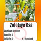 Zolotaya Osa DER TOMATENFLÜSTERER