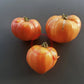 Zolotye Gory Medeo DER TOMATENFLÜSTERER