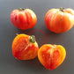 Zolotye Gory Medeo DER TOMATENFLÜSTERER
