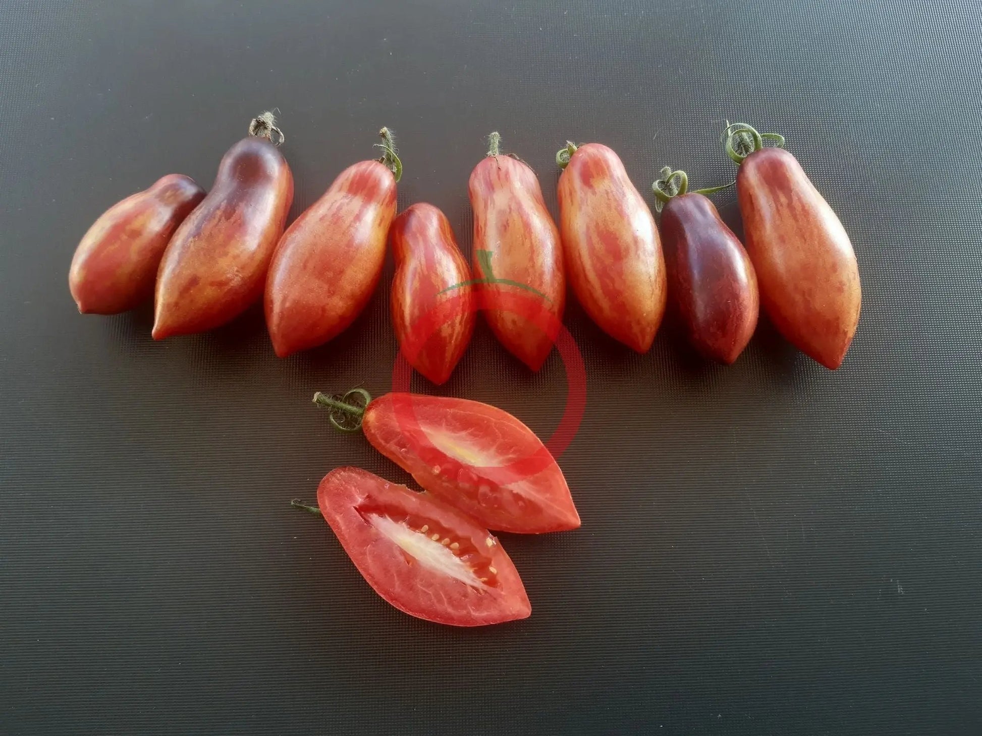 Antho Pink Panther (Kopie) DER TOMATENFLÜSTERER