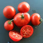 Avon Early DER TOMATENFLÜSTERER