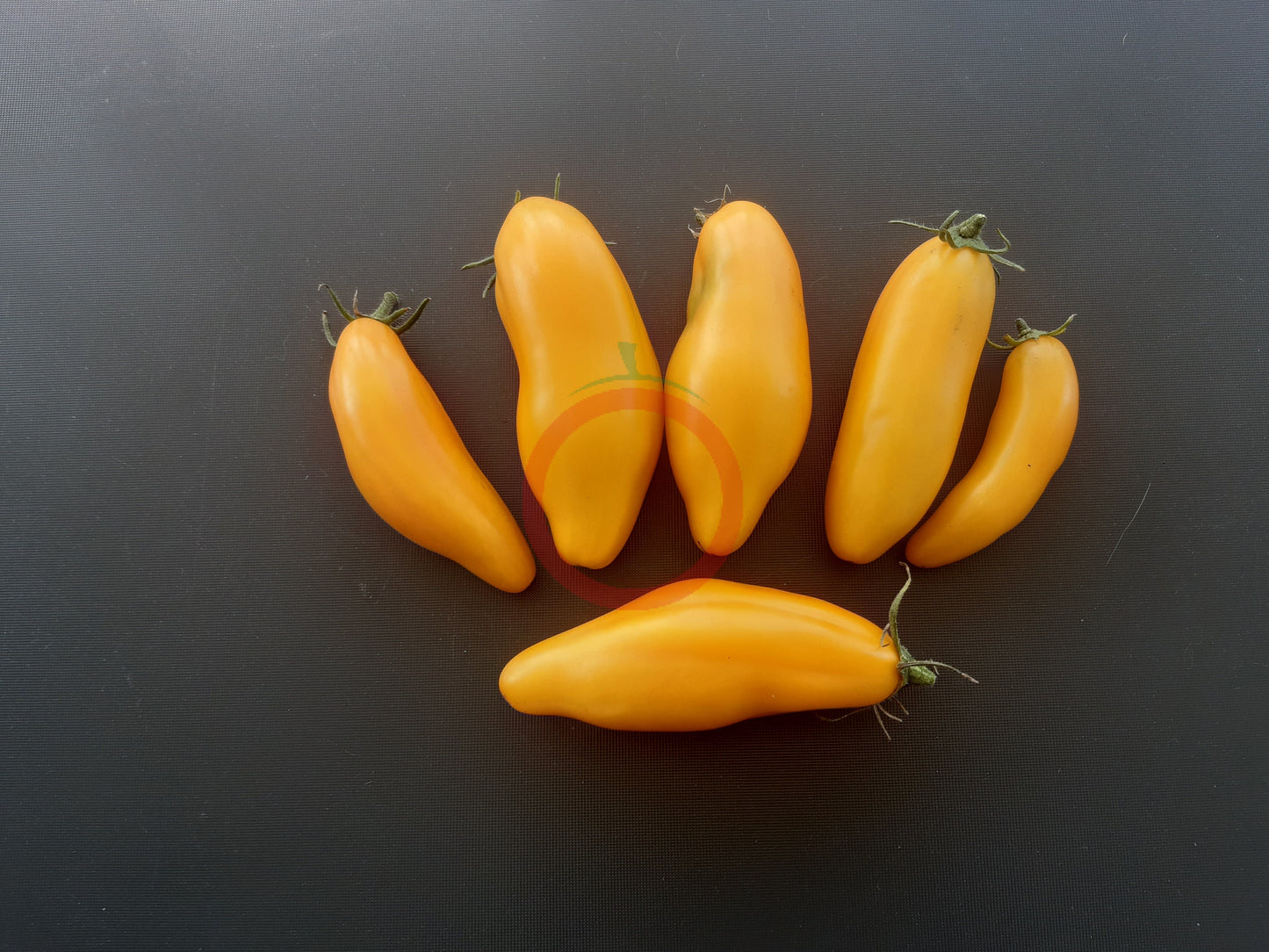 Bananu DER TOMATENFLÜSTERER