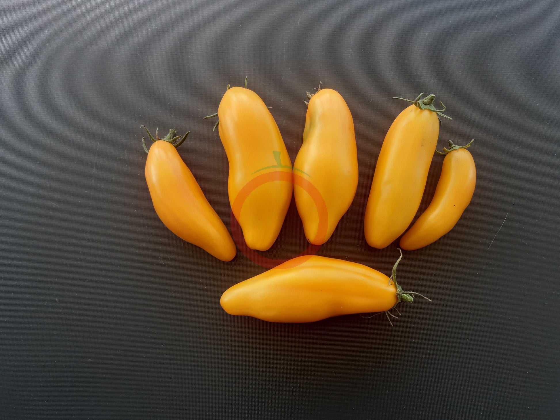 Bananu DER TOMATENFLÜSTERER