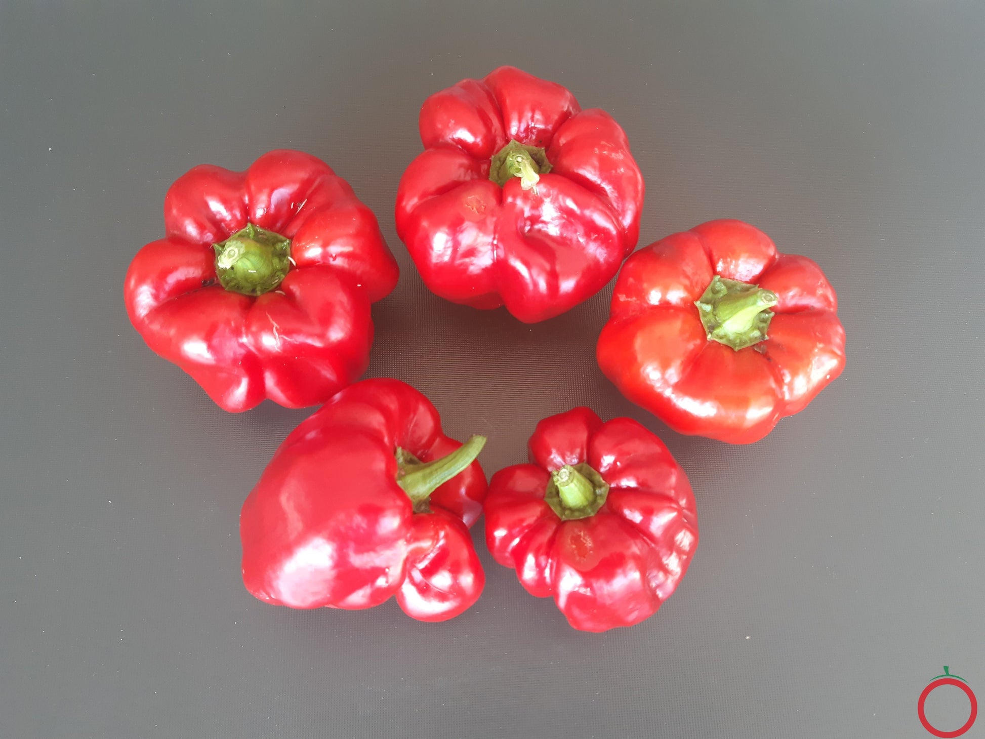 Benxi DER TOMATENFLÜSTERER
