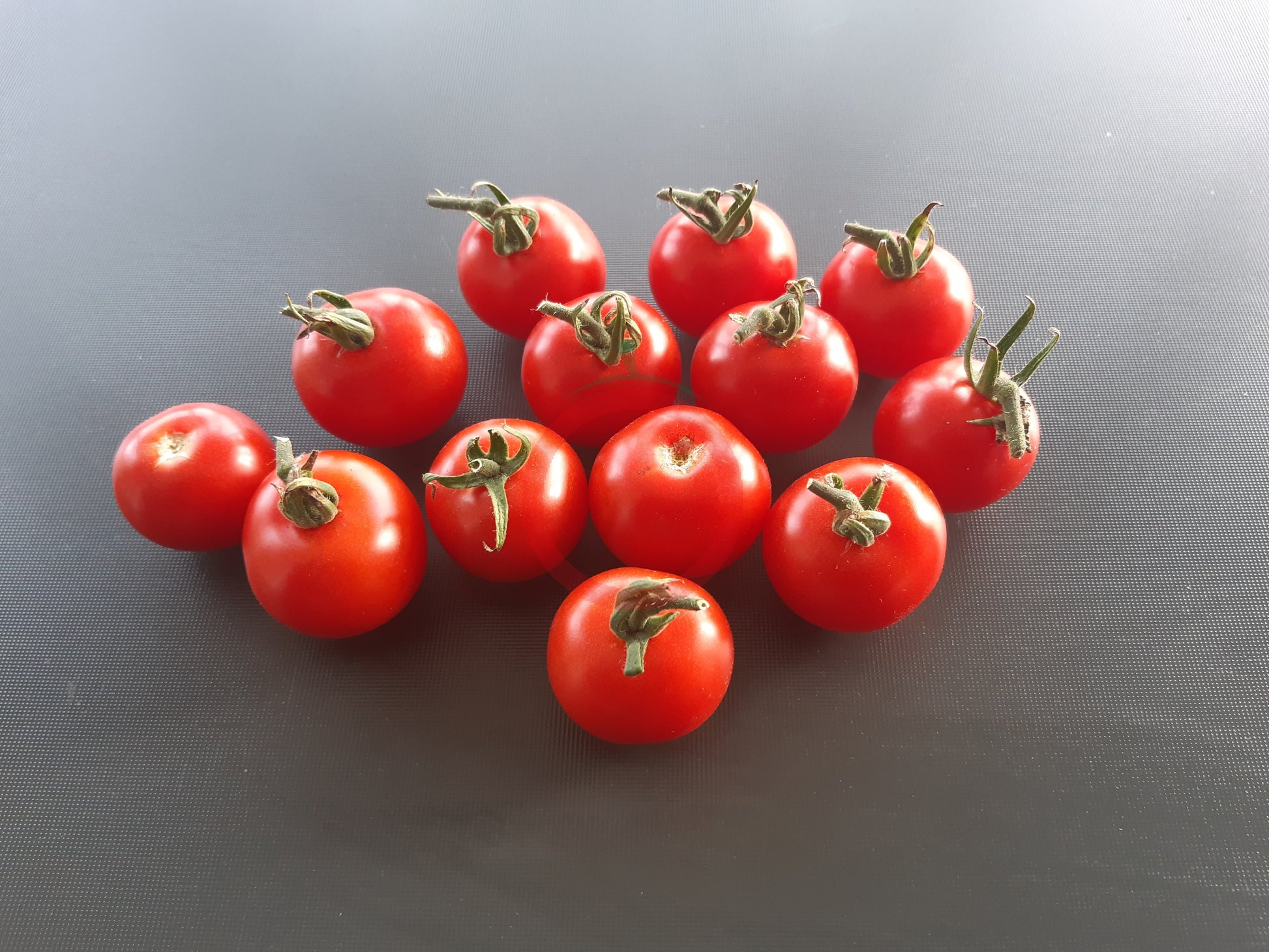 Carls Emslandtraube DER TOMATENFLÜSTERER