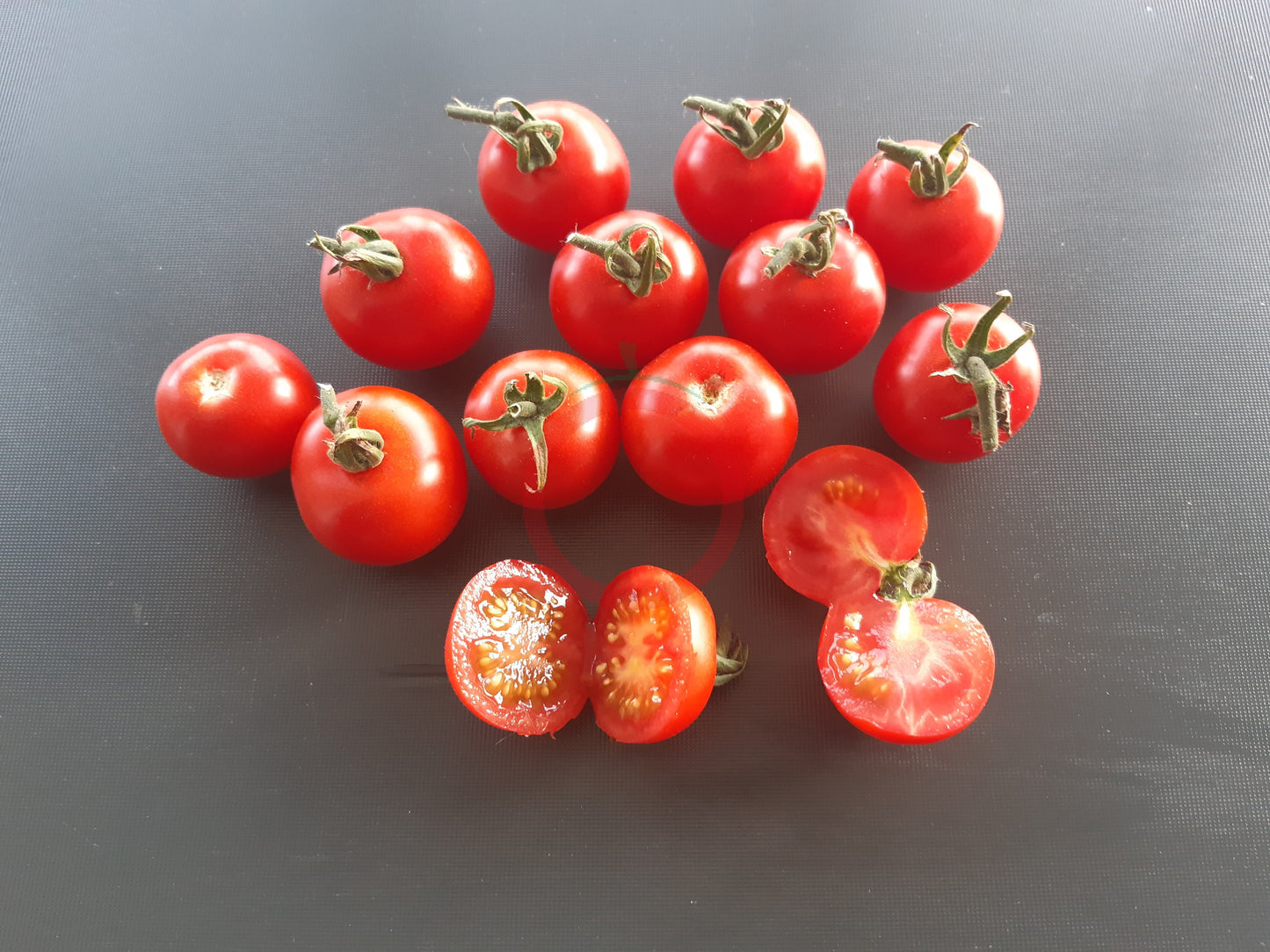 Carls Emslandtraube DER TOMATENFLÜSTERER