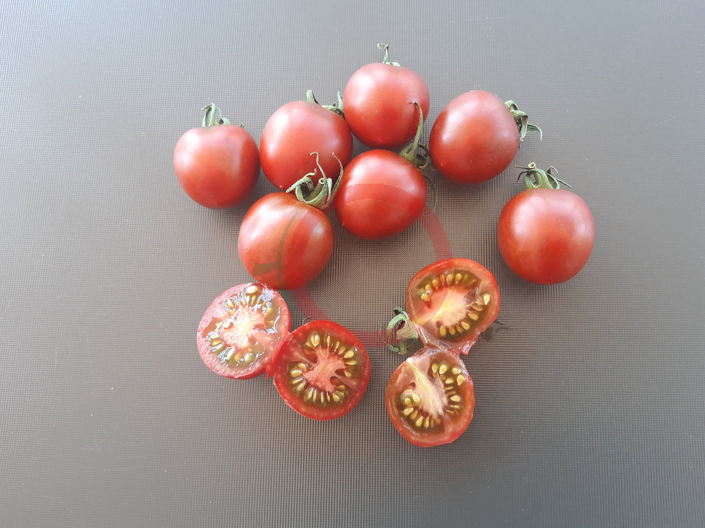 Centiflor Black DER TOMATENFLÜSTERER