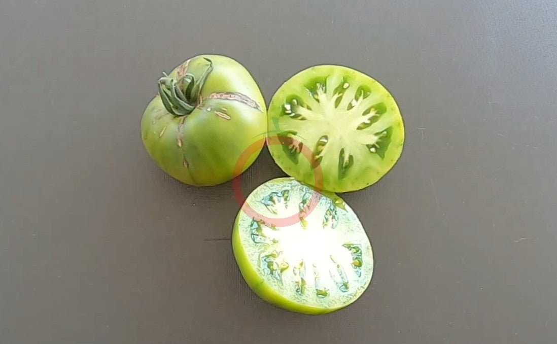 Cherokee Lime DER TOMATENFLÜSTERER