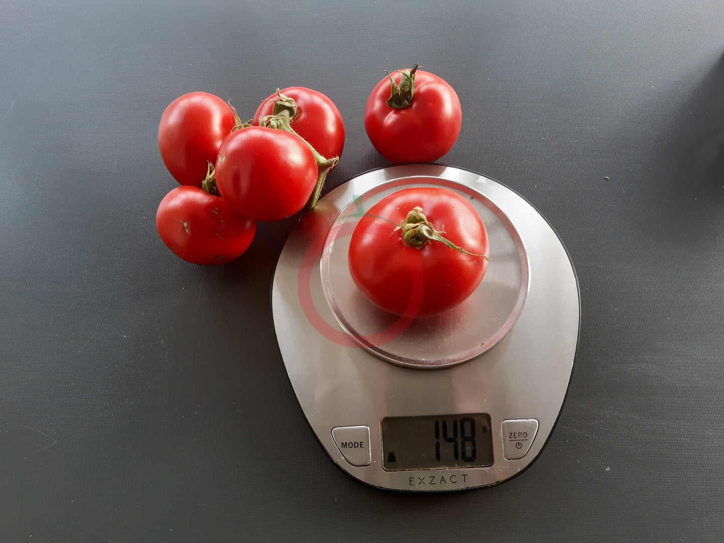 Clint Eastwood Rowdy Red DER TOMATENFLÜSTERER