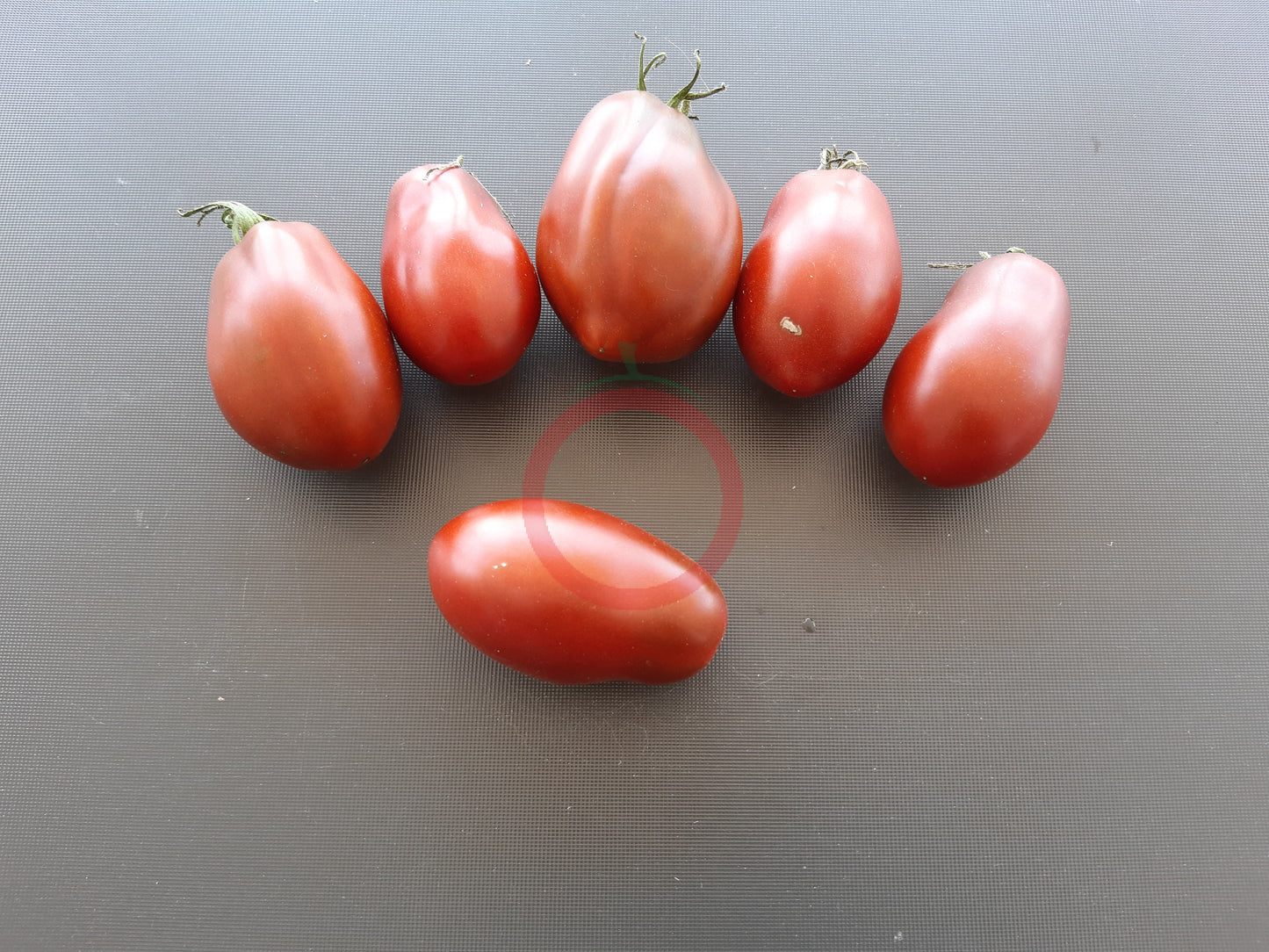 Deep Space DER TOMATENFLÜSTERER