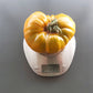 Desdemona´s Heart Kreuzung F2 DER TOMATENFLÜSTERER