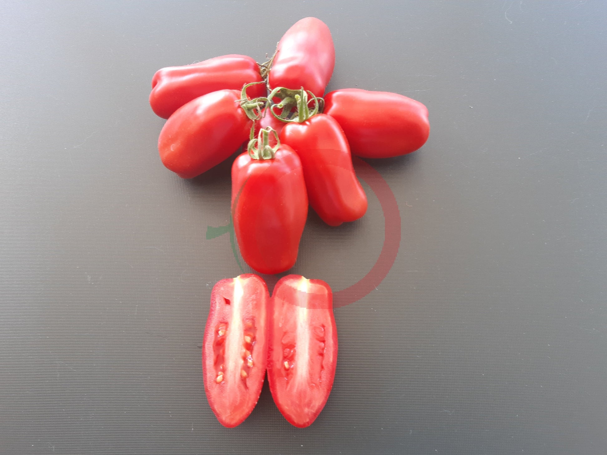 Drova DER TOMATENFLÜSTERER