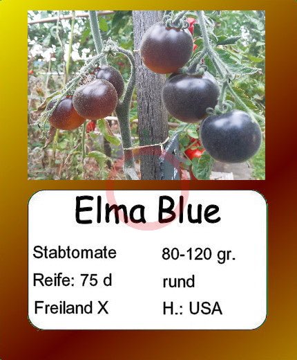 Elma Blue DER TOMATENFLÜSTERER