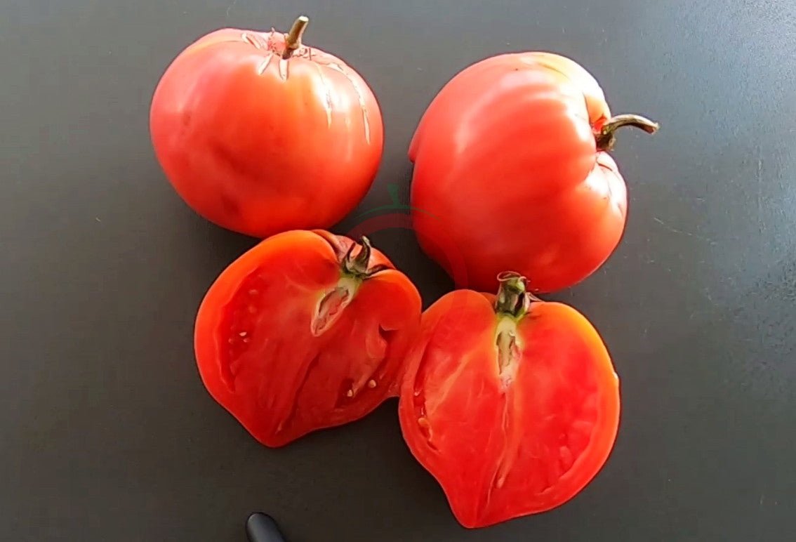 Erichs Großes Herz DER TOMATENFLÜSTERER