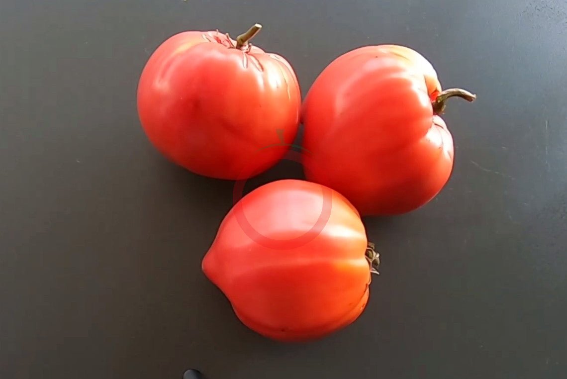 Erichs Großes Herz DER TOMATENFLÜSTERER