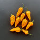 Fatalii Hot DER TOMATENFLÜSTERER