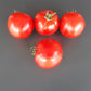 Frau Gruber Groß DER TOMATENFLÜSTERER
