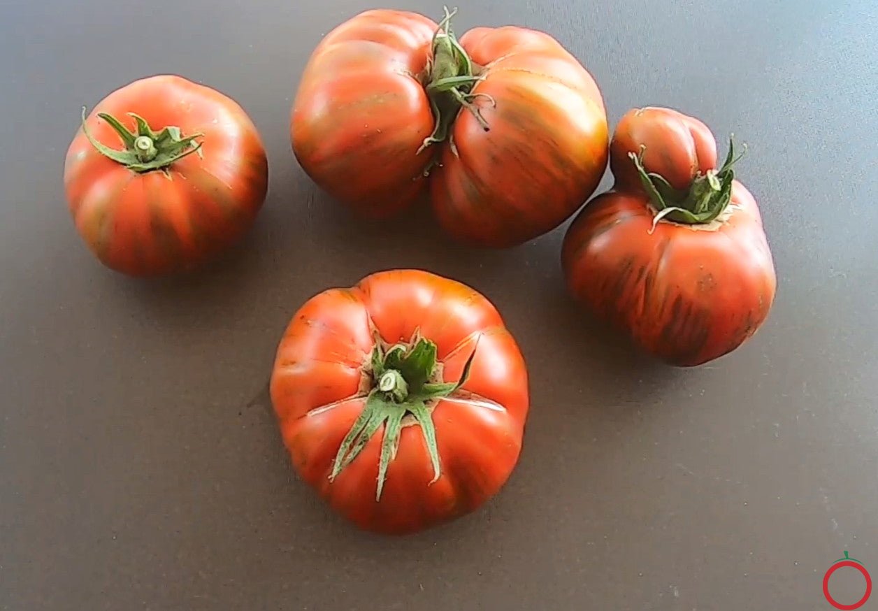 Girl Girls Weird Thing DER TOMATENFLÜSTERER