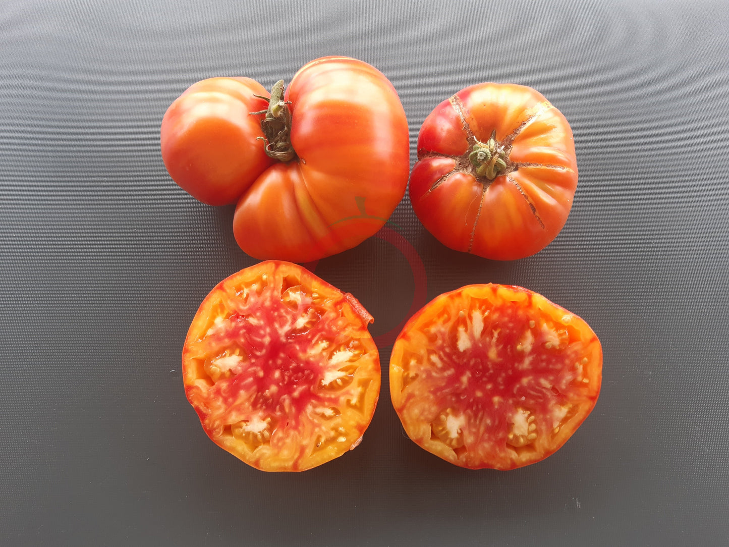 Grandma Viney´s Yellow & Pink DER TOMATENFLÜSTERER