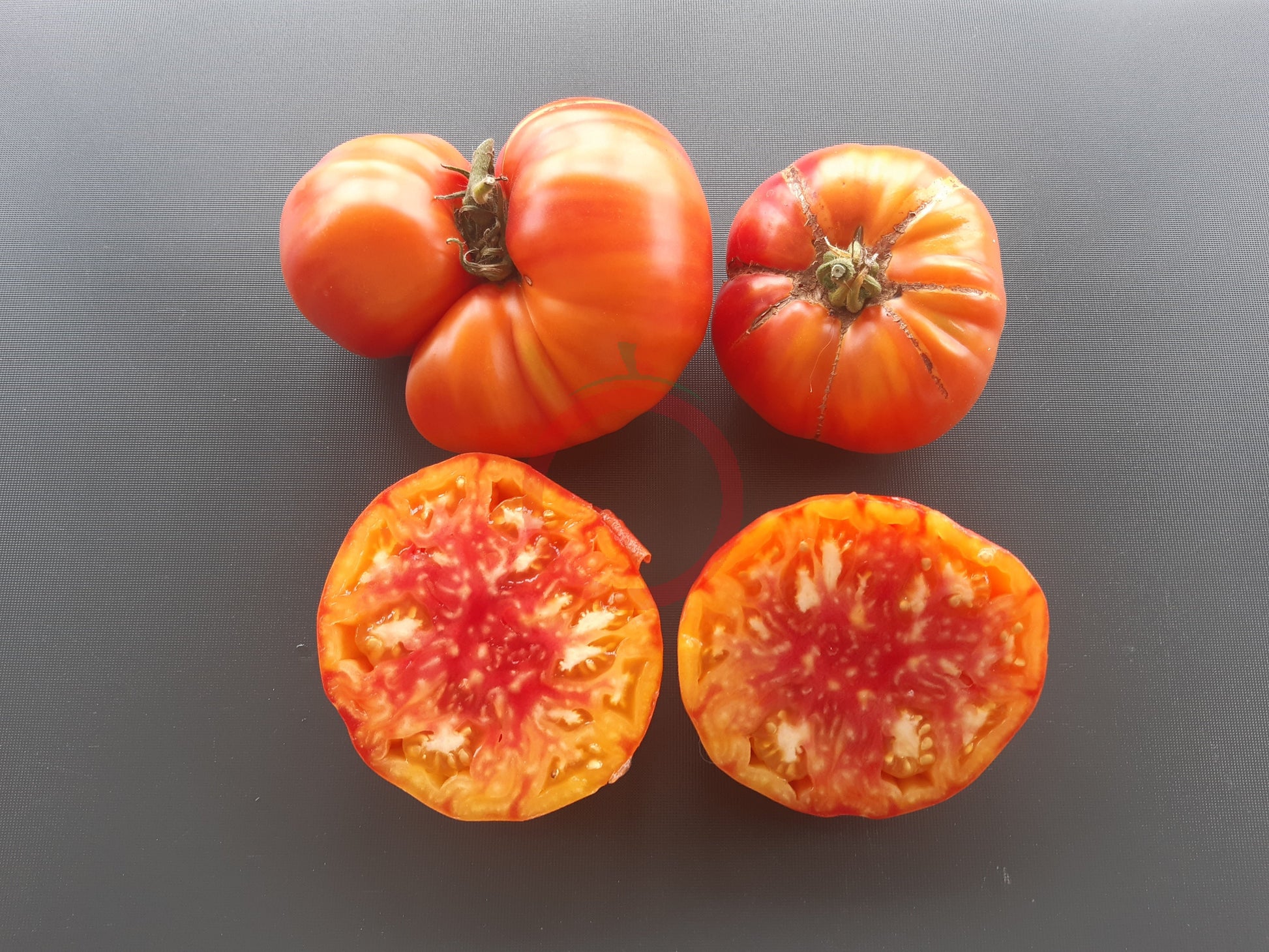 Grandma Viney´s Yellow & Pink DER TOMATENFLÜSTERER