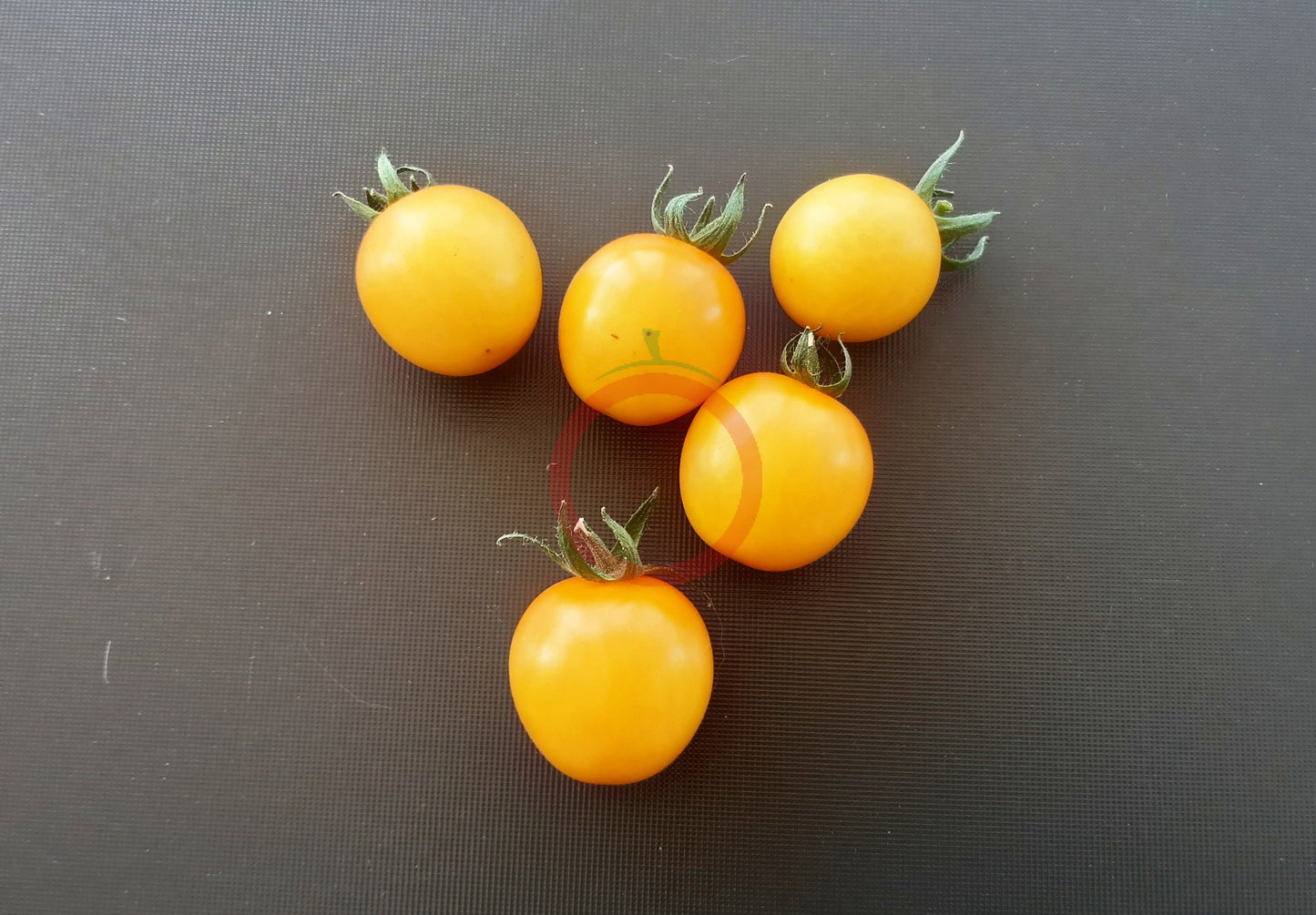 Hartman's Yellow Gooseberry DER TOMATENFLÜSTERER