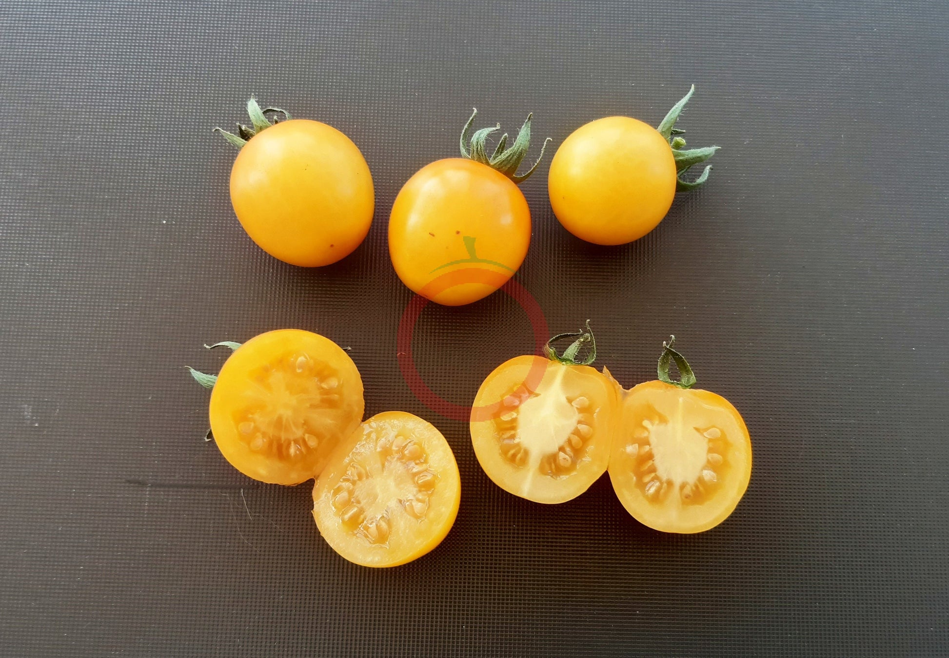 Hartman's Yellow Gooseberry DER TOMATENFLÜSTERER