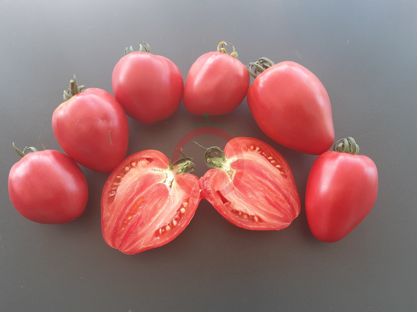 Herztomate Rast DER TOMATENFLÜSTERER